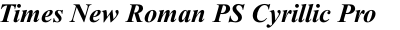 Times New Roman PS Cyrillic Pro Bold Italic
